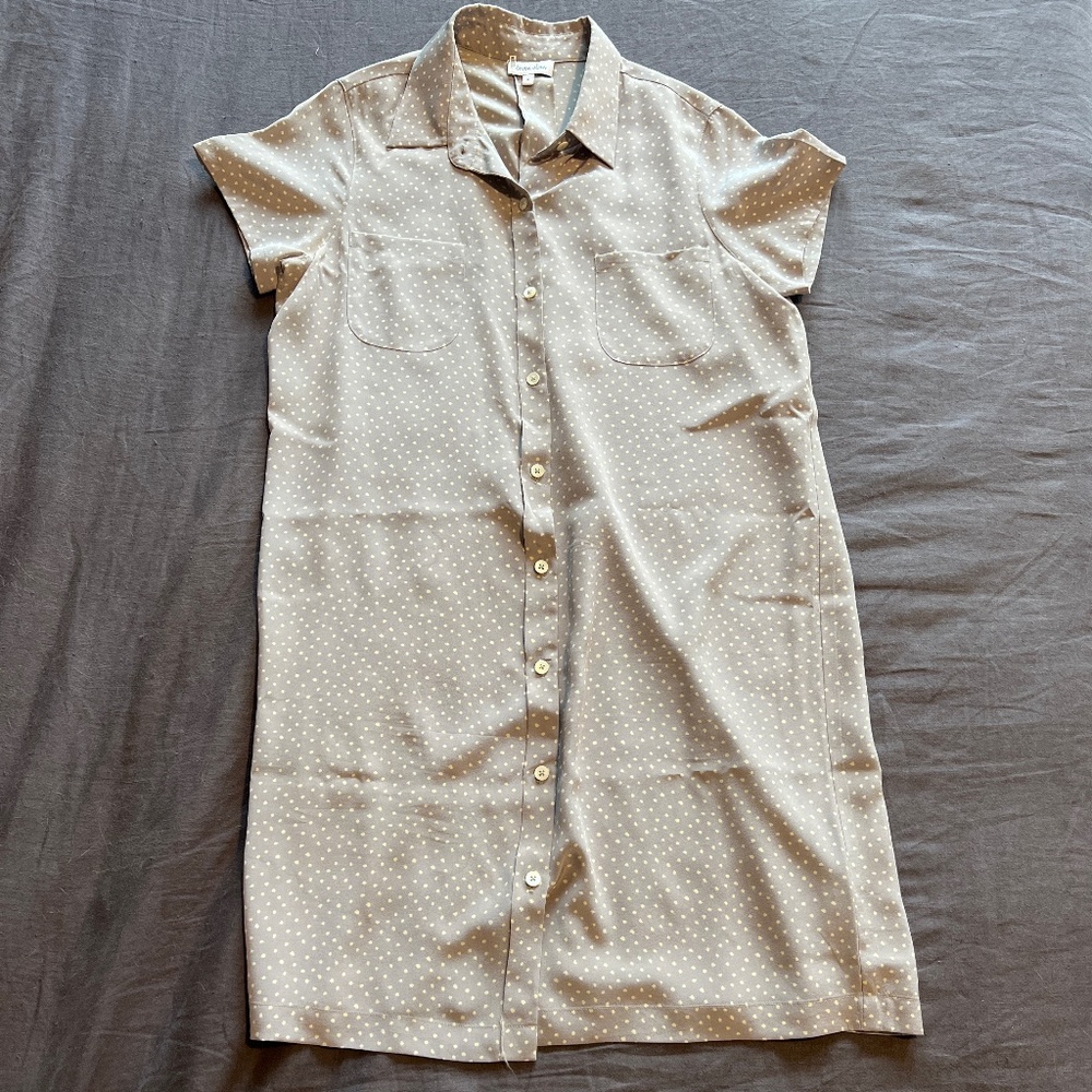 Grey and white polka dot silk dress by Steven Alan